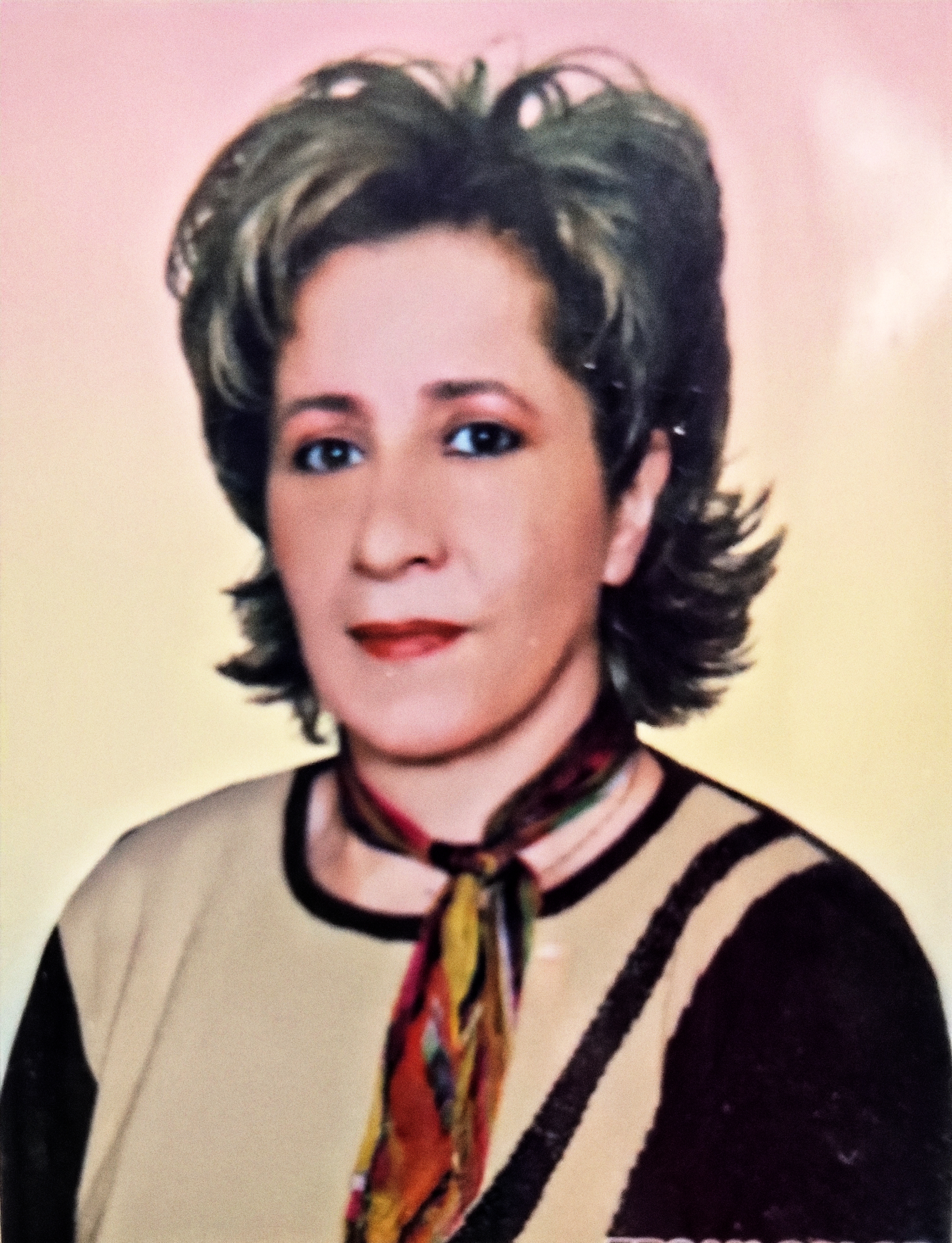 Nazlı Kılınç - Kurucu